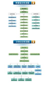 生工生物優質技術服務推薦 高通量測序與轉錄組、小RNA分析